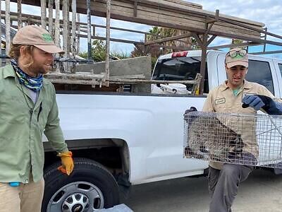 Boca Raton pest control